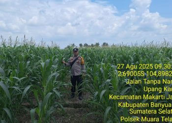 Cek Lahan Jagung, Bentuk Nyata Kehadiran Polri Sebagai Mitra Masyarkat ‎