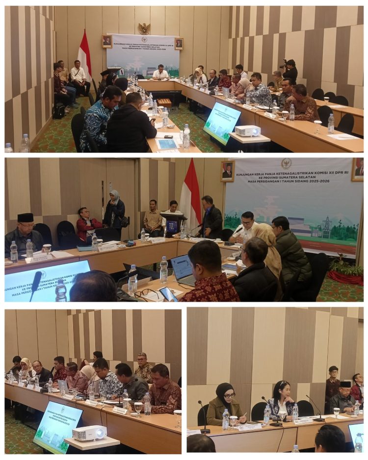 Pertemuan Tim Panja Listrik Komisi XII DPR RI Bersama PT. Pertamina Geothermal Energy Tbk
