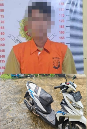 Gadaikan Kendaraan Hasil Pinjaman, Pelaku Penggelapan diamankan Polsek Sidomulyo
