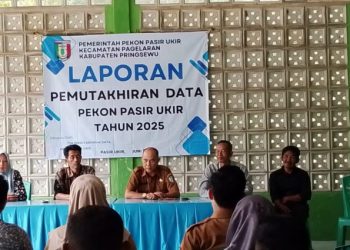 Pekon Pasir Ukir Resmi Dimulai, Tahapan pembentukan panitia PAW Pil kakon