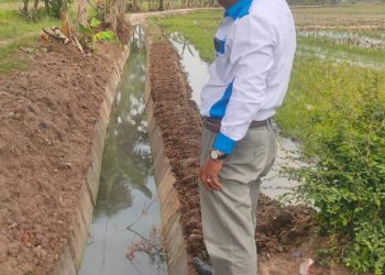 Pekon gumukmas Realisasi dana Bantuan Balai besar Realisasi paving Blok
