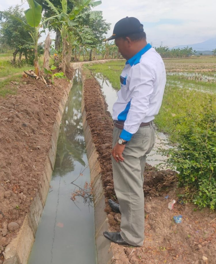 Pekon gumukmas Realisasi dana Bantuan Balai besar Realisasi paving Blok