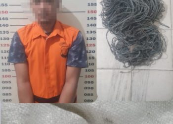 Pelaku Kasus Pencurian Tower Bertambah, Polisi Ungkap TKP Baru di Kalianda