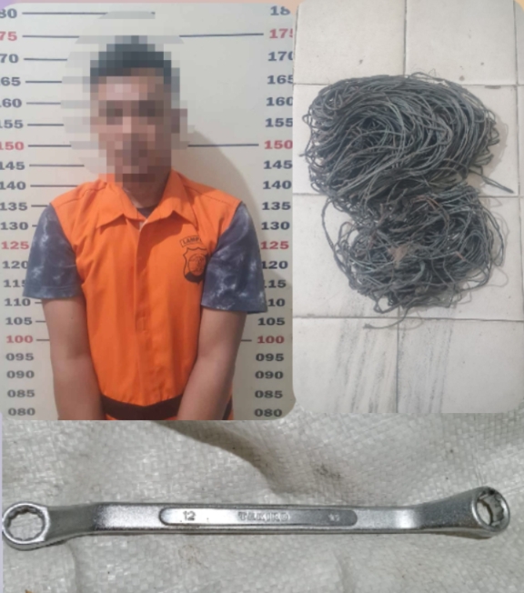 Pelaku Kasus Pencurian Tower Bertambah, Polisi Ungkap TKP Baru di Kalianda