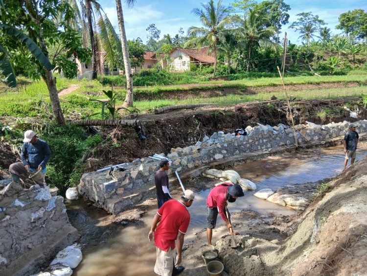 Proyek 2,2 Miliar untuk Tembok Cepat Lapuk: Skandal Proyek Tanggamus, Dibiayai Rakyat, Diamankan Preman