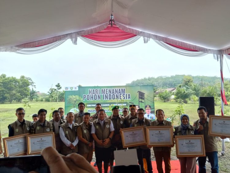 Dinas Kelautan dan Perikanan Sumsel Raih Penghargaan HMPI Berkat Keberhasilan Menanam 21.000 Mangrove di Sungsang