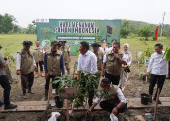 Peringatan Hari Menanam Pohon Indonesia Tahun 2025 di Provinsi Sumatera Selatan