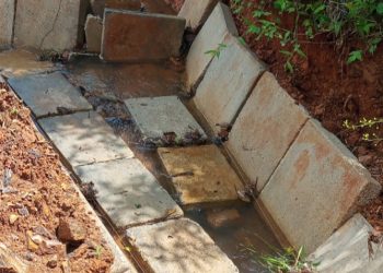 Ketua P3A Tirta Rahayu Pekon Margosari Diduga Bangun Briket Irigasi Tidak Sesuai Spesifikasi