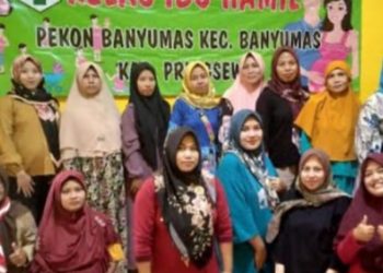 Pemerintah Pekon Banyumas kecamatan Banyumas Kabupaten Pringsewu Membuka Sosialisasi Kelas Ibu Hamil Jumlah Pengunjung 4