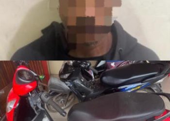 Sat Reskrim Polres Banyuasin Bekuk Penadah Motor Curian, Barang Bukti Ditemukan di Kebun Karet