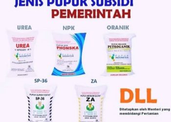 Kios Pupuk Bogi Jaya Pekon Banyu wangi di duga Jual Pupuk Subsidi Di atas HET