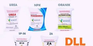 Kios Pupuk Bogi Jaya Pekon Banyu wangi di duga Jual Pupuk Subsidi Di atas HET