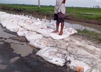Tanggul Rusak Parah Warga Swadaya Beli Tanah Timbun