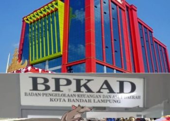 Plh BPKAD Bandar Lampung Bungkam soal Isu Penahanan DAU Rp19 Miliar