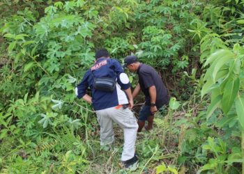 Gerak cepat Polres Tanggamus Amankan Pelaku Penganiayaan Hingga Meninggal Dunia di Wonosobo