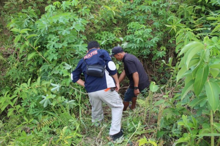Gerak cepat Polres Tanggamus Amankan Pelaku Penganiayaan Hingga Meninggal Dunia di Wonosobo