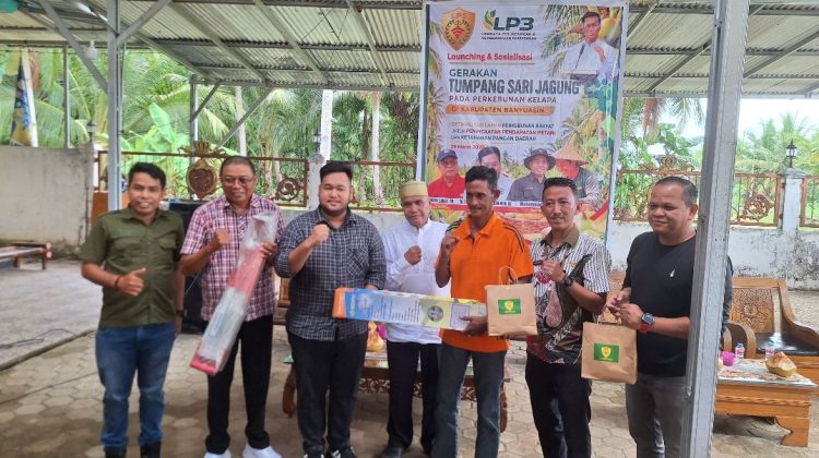 LP3 Launching Gerakan Tumpang Sari Jagung di Banyuasin, Dorong Produktivitas dan Kesejahteraan Petani