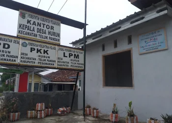 Manfaatkan Dana Desa Rp969 Juta, Aminudin Kepala Desa Hurun Pesawaran Maksimalkan Berbagai Program 