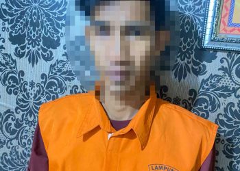 Tekab 308 Polres Lamsel Ungkap Kasus Curat, Pelaku Dibekuk di Katibung