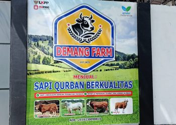 Demang Farm Palembang Andalkan Kejujuran dan Kualitas di Tengah Lonjakan Permintaan ‎