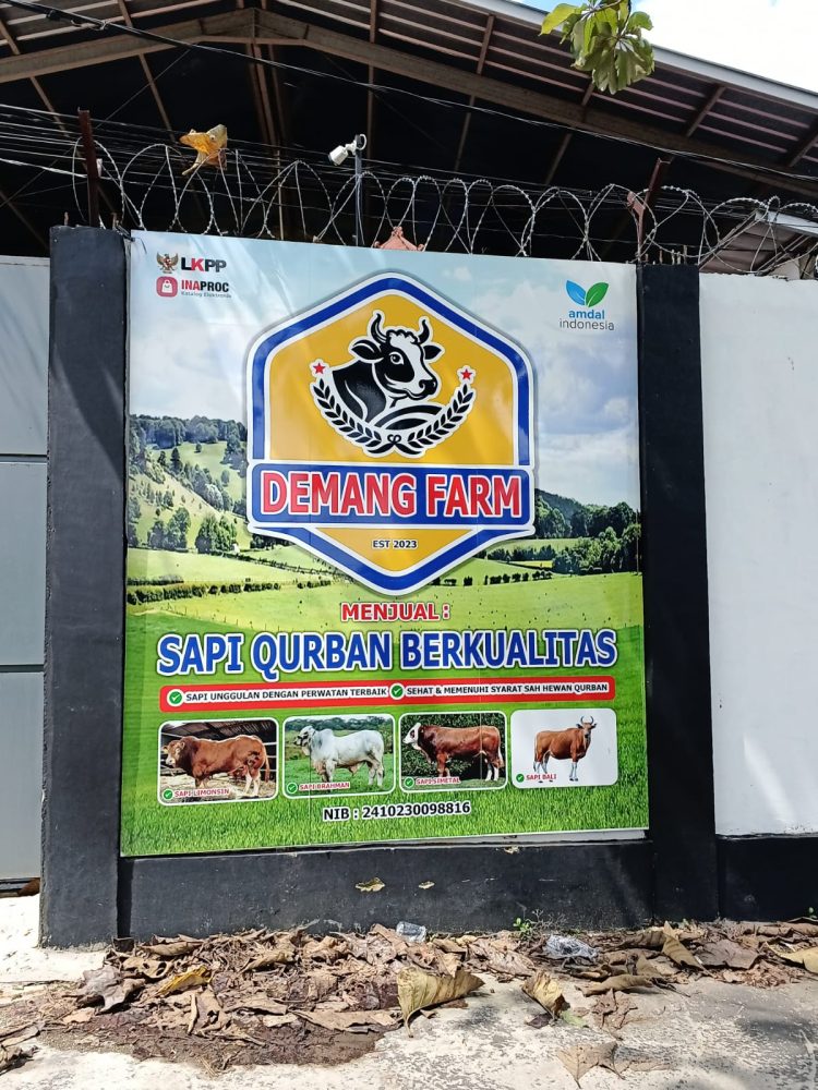 Demang Farm Palembang Andalkan Kejujuran dan Kualitas di Tengah Lonjakan Permintaan 