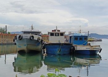 Peneliti Pukat UGM Desak Polda Lampung Tahan Aktor Utama Kasus Gudang BBM Ilegal Pesawaran