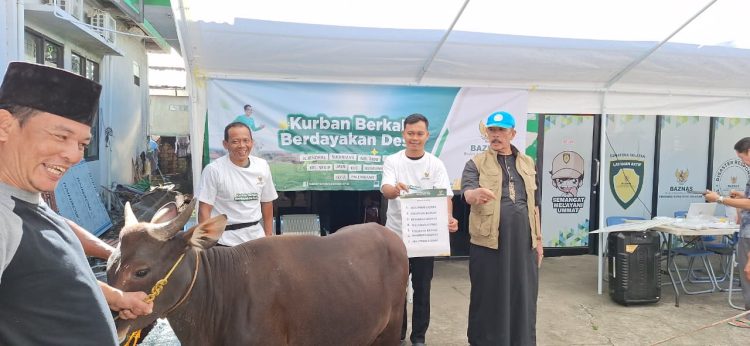 BAZNAS Sumsel Sembelih 6 Hewan Kurban, Perkuat Amanah dan Kepedulian Sosial di Hari Raya Idul Adha