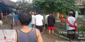 Si jago merah lalap Rumah Agung Warga pekon Wates kecamatan gading Rejo kab Pringsewu
