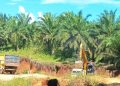 Tambang Galian C Ilegal di Pringsewu Beroperasi Bebas, Diduga Ada Pembiaran.