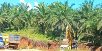 Tambang Galian C Ilegal di Pringsewu Beroperasi Bebas, Diduga Ada Pembiaran.