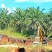 Tambang Galian C Ilegal di Pringsewu Beroperasi Bebas, Diduga Ada Pembiaran.