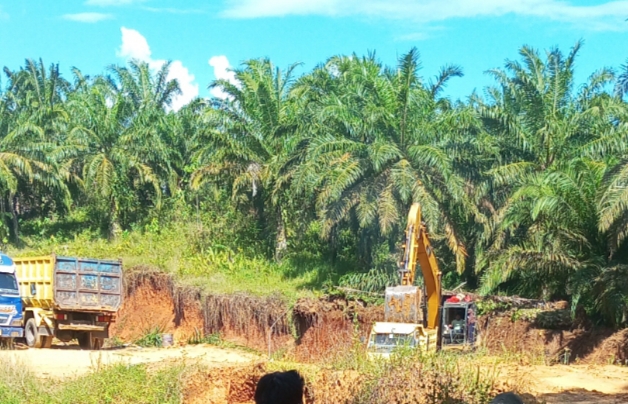 Tambang Galian C Ilegal di Pringsewu Beroperasi Bebas, Diduga Ada Pembiaran.