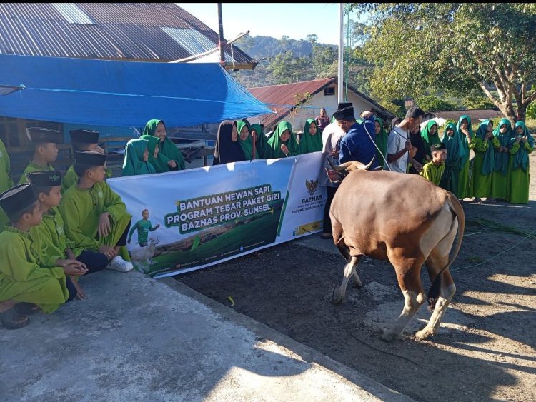‎BAZNAS Sumsel Wujudkan Kebahagiaan Idul Adha Mustahik, Tiga Sapi Disalurkan Melalui Program Tabur Gizi
