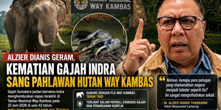 Alzier Dianis Geram, Kematian Gajah Indra Sang Pahlawan Hutan Way Kambas
