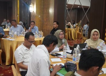 BPDAS MUSI PERKUAT KOLABORASI REHABILITASI HUTAN DAN DAS MELALUI BIMBINGAN TEKNIS