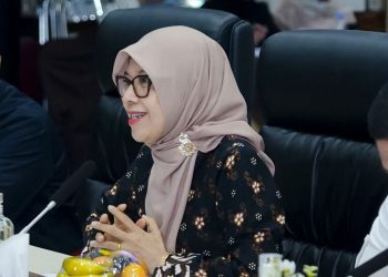 PLN, Kementerian ESDM, dan Pemerintah Daerah Sinkronkan Program Lisdes, Percepat Pemerataan Kelistrikan di Sumatera Selatan