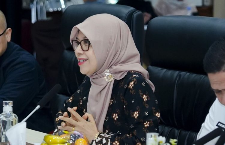 PLN, Kementerian ESDM, dan Pemerintah Daerah Sinkronkan Program Lisdes, Percepat Pemerataan Kelistrikan di Sumatera Selatan