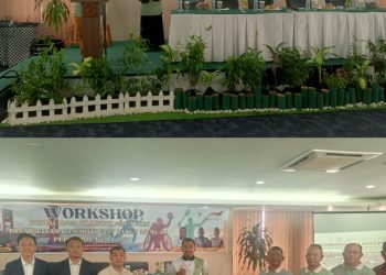 ‎”Workshop” Sosialisasi Klasifikasi Atlet Disabilitas Dan Motivasi Atlet Menuju Pepaprop Ke-VI 2027